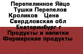 Перепелинное Яйцо.Тушки Перепелов,Кроликов › Цена ­ 4 - Свердловская обл., Екатеринбург г. Продукты и напитки » Фермерские продукты   